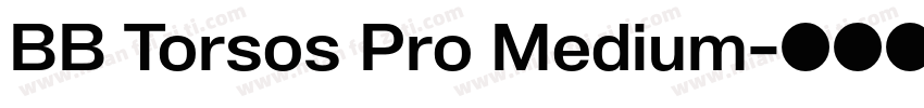 BB Torsos Pro Medium字体转换